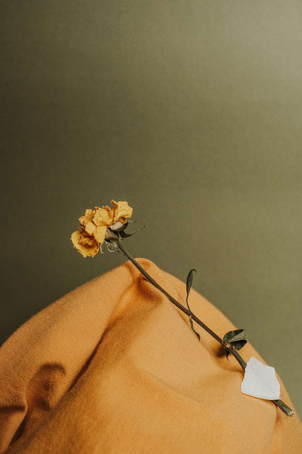 Yellow Flower Taped in a Cloth 
